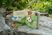 Load image into Gallery viewer, [GIFT SET] Hector the Rainbow Hedgehog&#39;s Happy Playtime
