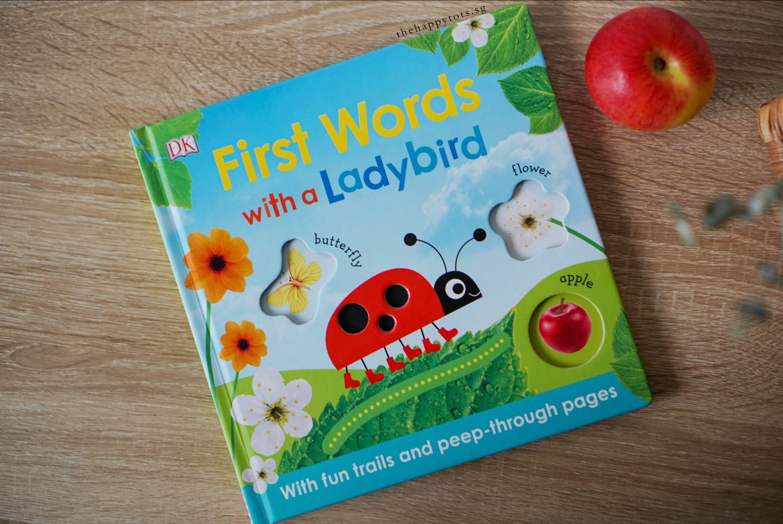 First Words With A Ladybird